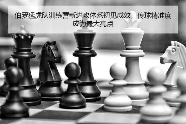 bo-luo-meng-hu-dui-xun-lian-ying-xin-jin-gong-ti-xi-chu-jian-cheng-xiao-chuan-qiu-jing-zhun-du-cheng-wei-zui-da-liang-2-789.jpg